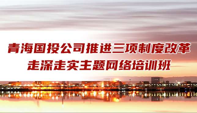 金沙3777官方网站|中国有限公司组织人力资源管理网络培训班圆满结业